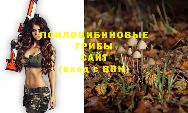 бошки Надым
