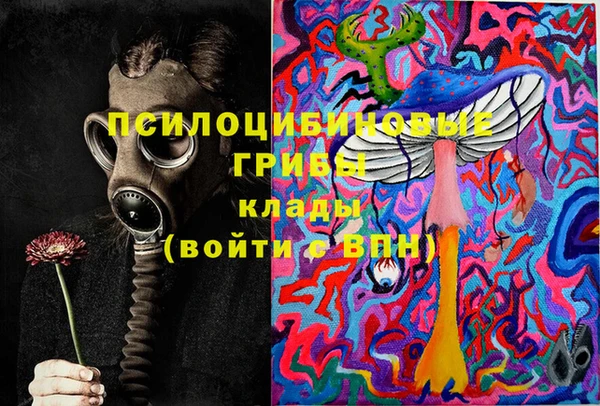 бошки Надым
