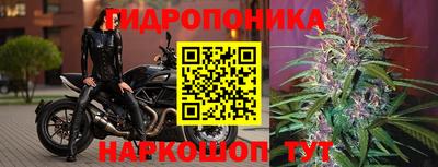 мяу мяу мука Малгобек