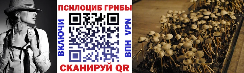 omg как войти  Родники  Галлюциногенные грибы MAGIC MUSHROOMS 
